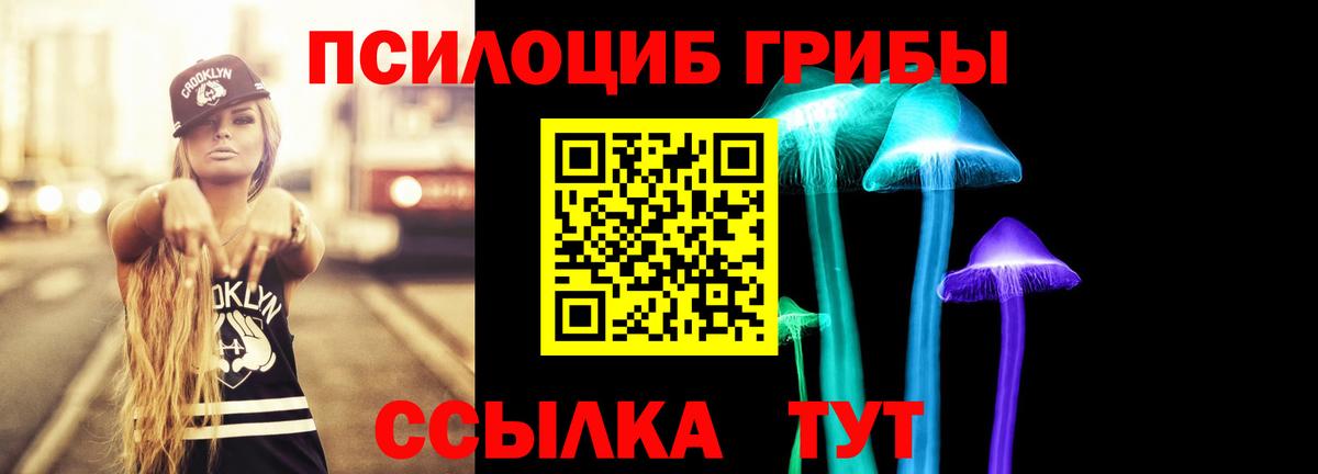 Галлюциногенные грибы мухоморы  Вход с VPN  Россия 
